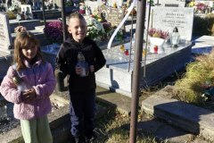 49119247-0ec1-49cc-91c8-13a7a67b9e50