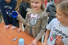 743e9767-1f83-453d-a549-e06b9fcf5294