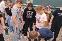 8ca31252-3c7e-43aa-affd-3f8329b8bc0c