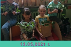 185535068_1412487785780803_6859735118772910927_n