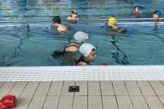 64995399-f149-4081-aa31-35aab55c1809