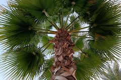 IMG_20220604_204028
