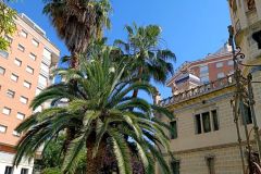 IMG_20220605_104404