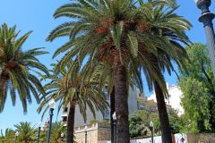IMG_20220605_125246