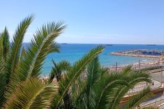 IMG_20220605_125826