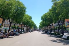 IMG_20220606_125446