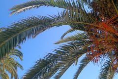 IMG_20220606_150704
