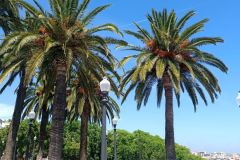 IMG_20220606_150809