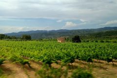 IMG_20220606_174415
