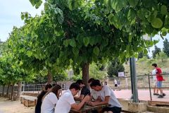IMG_20220608_122745