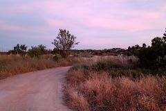 IMG_20220608_214057