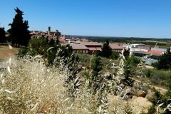IMG_20220609_162011