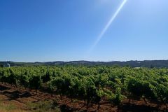 IMG_20220610_092851