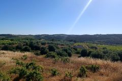 IMG_20220610_093054