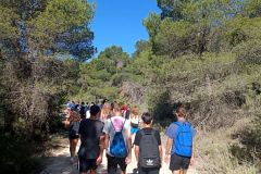 IMG_20220610_094003