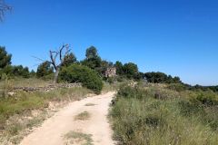 IMG_20220610_100846