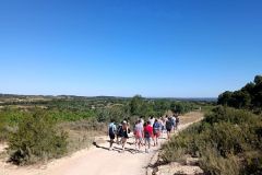 IMG_20220610_101919