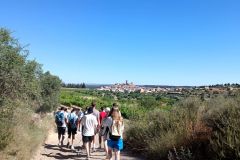 IMG_20220610_102945