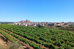 IMG_20220610_103812