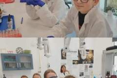 15f8118a-aacb-436c-9ae5-b16b2e043dbe