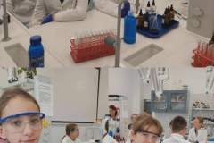 ae82571d-2361-462c-bcc4-604a8afbd27c