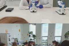 d6ee03b5-6257-4133-afa7-36509aad6896