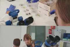 df7e4a5f-b1be-4dc0-adf3-18f43dd8cad9