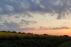 IMG-20200516-WA0012