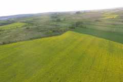 IMG-20200518-WA0006