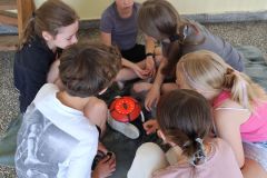 IMG_20260603_101922