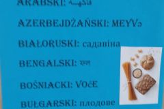 IMG_20220926_151958