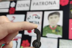 IMG_20211213_115350