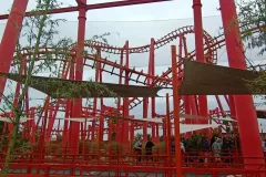 IMG_20240612_140220_350