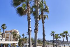 IMG_20250330_120959