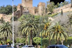 IMG_20250330_125522-1