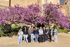 IMG_20250402_104733-1
