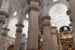 IMG_20250403_104956-1