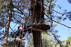 IMG_20250404_115230-1