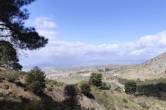 IMG_20250404_123040-1