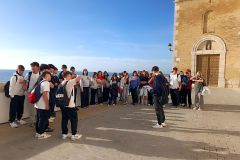 IMG_20241114_100554
