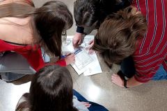 IMG_20241114_194653