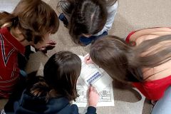 IMG_20241114_194755