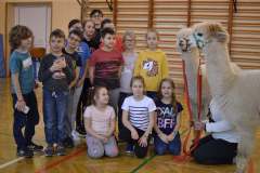ferie28