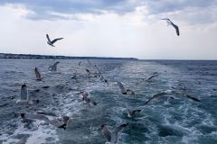IMG_20230520_161623