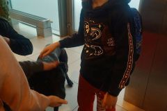 IMG20240312104331