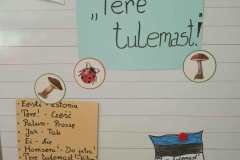 566574601_1995905264675756_5854472717789975931_n