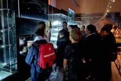IMG_20221012_095302