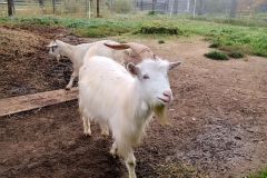 IMG_20221012_102609