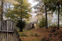 IMG_20221012_103955