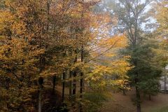 IMG_20221012_104123